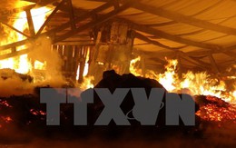 Cháy lớn tại xưởng điều ở Bình Phước, thiệt hại hàng trăm triệu đồng
