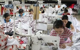 “Kinh tế Việt Nam cần những cải cách để tăng chất hơn tăng lượng"