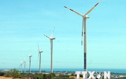 Đầu tư nhà máy điện gió tại khu du lịch Khai Long-Cà Mau