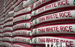 Thái Lan nhất trí cắt giảm sản lượng gạo còn hơn 16 triệu tấn