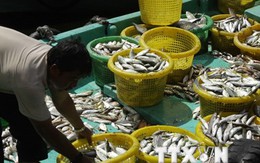 Tập đoàn chế biến hải sản Thái Lan lập liên doanh tại Việt Nam