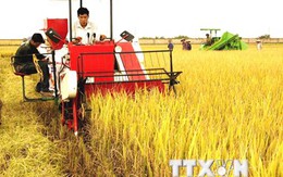 Khoa học công nghệ: “Chìa khóa vàng” của ngành nông nghiệp