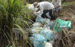 Hòa Bình xác minh vụ chôn lén rác thải y tế trong khuôn viên bệnh viện