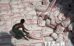 Thái Lan đứng đầu thế giới về xuất khẩu gạo trong quý đầu năm
