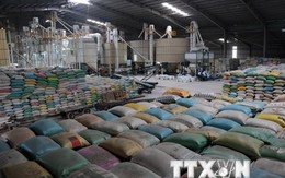 Xuất khẩu gạo trong tháng Hai vượt kế hoạch 400.000 tấn