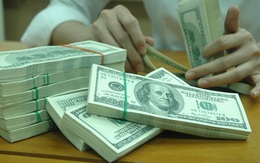 NHNN mua USD trở lại cho dự trữ ngoại hối