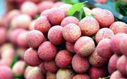 Vượt nhiều "cửa ải", trái cây Việt chinh phục hơn 40 quốc gia