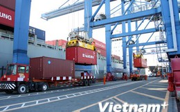 Tân Cảng Sài Gòn đạt sản lượng container 71,4 triệu tấn năm 2015