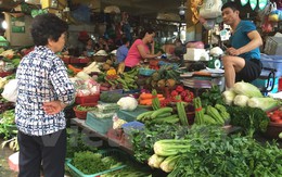Hà Nội: Giá rau xanh tăng nhẹ do ảnh hưởng sau mưa bão