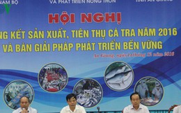 Mỹ tiếp tục là thị trường xuất khẩu lớn nhất của cá tra Việt Nam