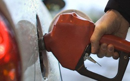Chính phủ tăng ưu đãi thuế cho xăng dầu Dung Quất