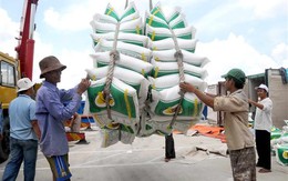 Philippines có thể giảm nhập khẩu gạo