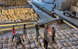 Ưu tiên xuất khẩu gạo chất lượng cao trong 6 tháng cuối năm