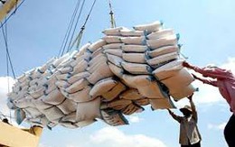 Xuất khẩu gạo của Việt Nam ở mức thấp nhất trong 8 năm qua
