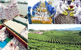 Xuất khẩu nông sản Việt năm 2016 sẽ khởi sắc