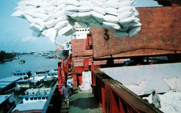 Xem xét điều chỉnh quy định thương nhân xuất khẩu gạo
