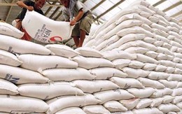 Thái Lan xả gạo dự trữ ảnh hưởng gì đến xuất khẩu gạo Việt Nam?