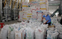 Công bố Nghị định thư về xuất khẩu gạo và cám gạo sang Trung Quốc