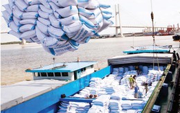 “Chiến dịch” củng cố thị trường gạo