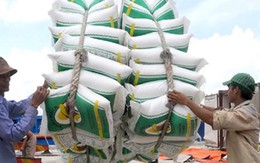 Xuất khẩu gạo giảm mạnh, nhiều doanh nghiệp bị trả hàng về