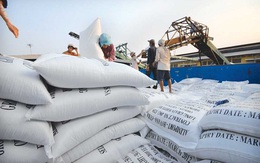 Giá gạo Việt Nam giảm khi vào vụ thu hoạch