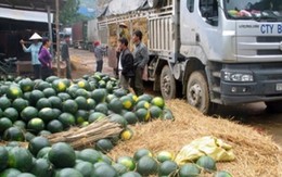 Làm ăn với Trung Quốc, những ngành sau dễ gặp rủi ro