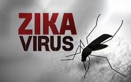 Bộ Y tế lo ngại bùng phát dịch Zika