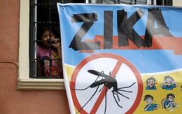 Virus Zika xuất hiện tại Lào, các cửa khẩu ở Quảng Trị đề phòng