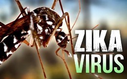 Zika bị tiêu diệt khi thời tiết lạnh dưới 16 độ C