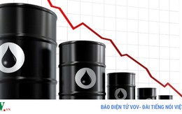 Các nước xuất khẩu dầu gia hạn cắt giảm sản lượng
