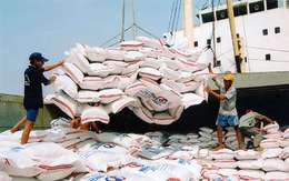 Philippines chính thức mở thầu 250.000 tấn gạo