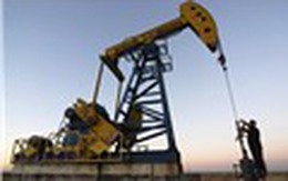 Giá dầu thô giảm do dấu hiệu sản lượng khai thác tăng