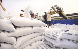 Tồn kho gần 1 triệu tấn gạo - xuất khẩu tiếp tục khó
