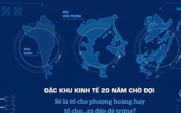 Đặc khu kinh tế 20 năm chờ đợi: Sẽ là tổ cho phượng hoàng hay tổ cho…gà đến đẻ trứng?