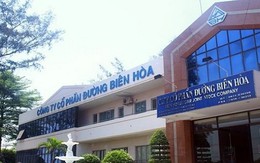 "Nhà đầu tư may mắn" Global Mind Việt Nam đã mua thêm 4,1 triệu cổ phiếu Đường Biên Hòa trước thềm sáp nhập