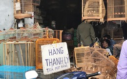 Nhiều ki-ốt quanh sân bay Tân Sơn Nhất xả hàng trước giờ giải tỏa