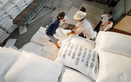 Xuất khẩu gạo giảm 40,6% về giá trị
