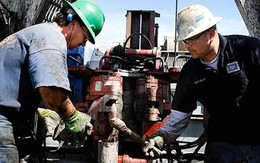 Giá dầu kết thúc tuần tăng giảm đan xen trước thềm họp nhóm OPEC