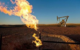 Giá dầu tiếp đáy 1 tuần sau tín hiệu của OPEC