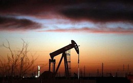 Giá dầu lập đỉnh 3 tuần sau tuyên bố của Tổng thư ký OPEC