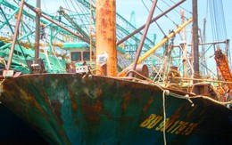 Thủ tướng yêu cầu điều tra việc đóng tàu cá kém chất lượng