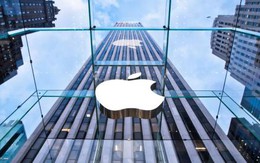 Tuột mất 1 tỷ USD đầu tư từ Apple: Cần nhìn lại mình