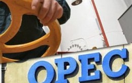 OPEC: Các nhà sản xuất dầu mỏ Mỹ đang kìm hãm phục hồi giá dầu