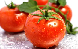 10 loại thực phẩm giải độc gan cực kỳ hiệu quả cho mùa hè
