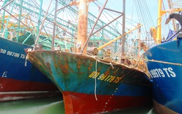 17 tàu vỏ thép hỏng nằm bờ ở Bình Định: Không xử lý nghiêm sẽ gây ảnh hưởng lớn