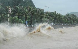 Bão số 12 cách bờ biển Khánh Hòa - Ninh Thuận khoảng 500km