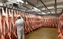 Giá thịt lợn dù được “giải cứu” nhưng vẫn thấp thê thảm
