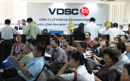 Tăng vốn năm 2016 không thành, Rồng Việt tiếp tục triển khai trong năm 2017
