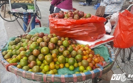 Mận đầu mùa vừa chua vừa chát, giá 200.000 đồng/kg vẫn đắt hàng