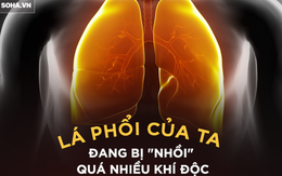 30 phút trên đường, 3 triệu người Hà Nội có thể hít phải 5 loại khí cực độc